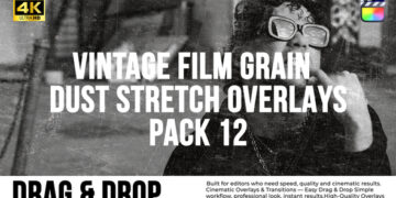 VideoHive Vintage Film Grain Dust & Stretch Overlays Pack Apple Motion 61437837