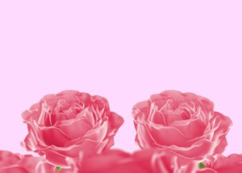 VideoHive Rose Opener 61794551