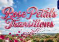 VideoHive Rose Petals Transitions for After Effects 64835422